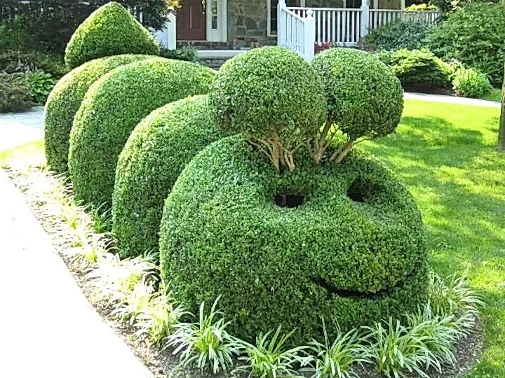 KK the Caterpillar, a neighborhood treasure KK the Caterpillar, a neighborhood treasure