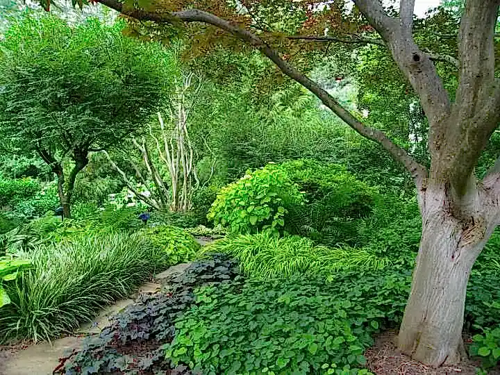 A garden of rich texture A garden of rich texture and interest all year long