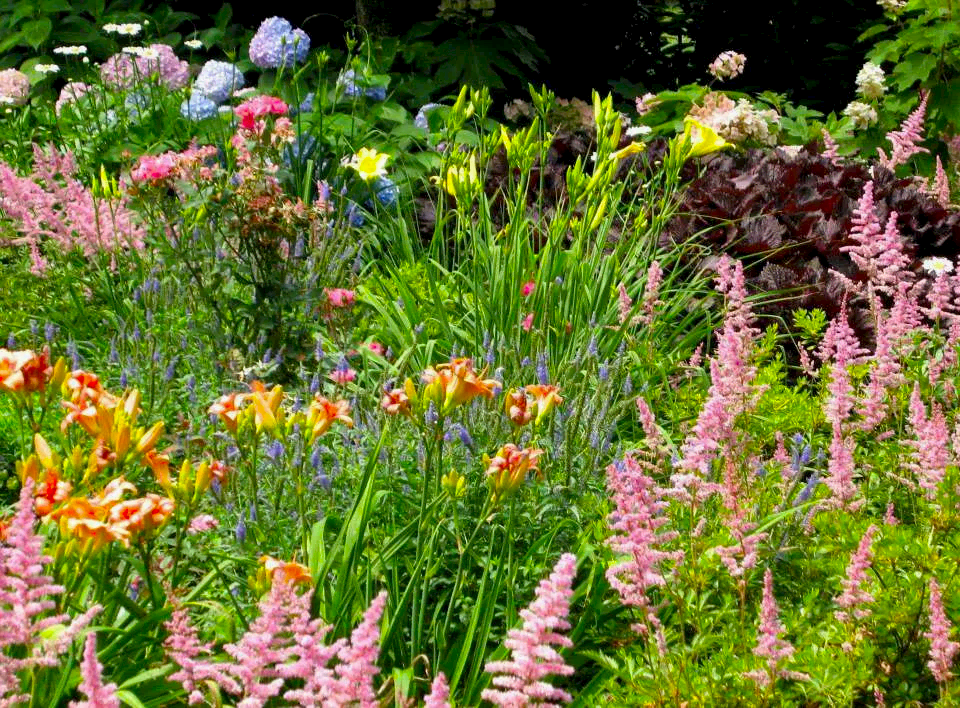 Colorful, carefree urban meadow Colorful, carefree urban meadow