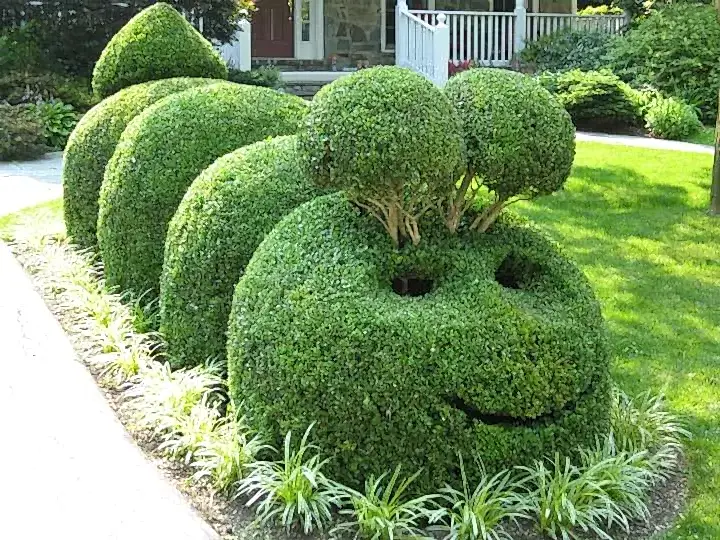 KK the Caterpillar KK the Caterpillar a neighborhood treasure