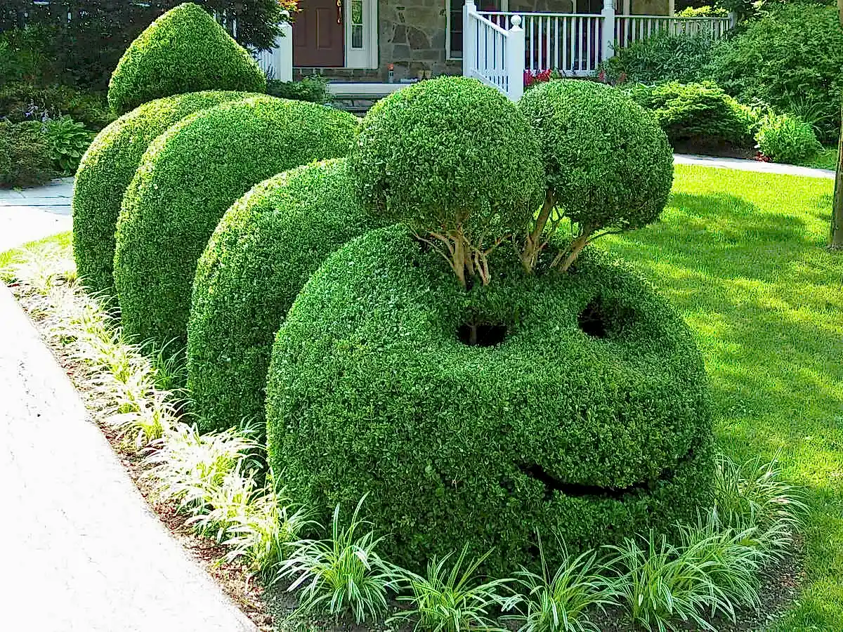 rsz_kk_the_caterpillar
